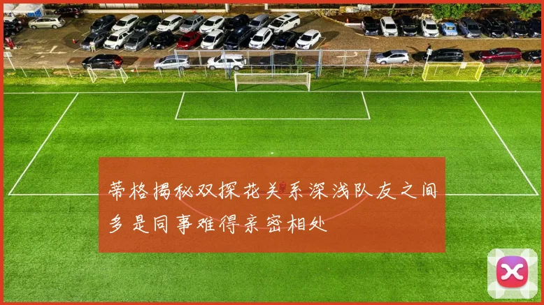 蒂格揭秘双探花关系深浅队友之间多是同事难得亲密相处