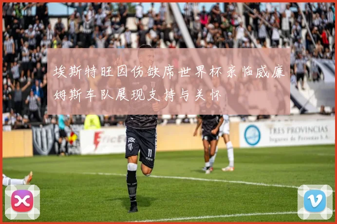 埃斯特旺因伤缺席世界杯亲临威廉姆斯车队展现支持与关怀
